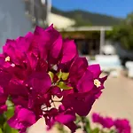 Hotel de apartamente Romantika 3*
