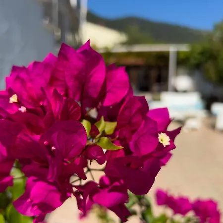 Aparthotel Romantika 3*