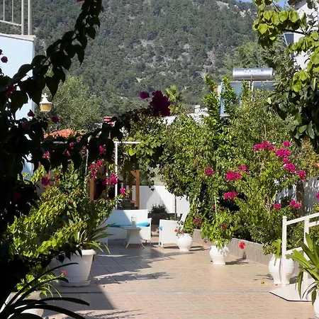 Romantika Lejlighedshotel Chrisi Ammoudia