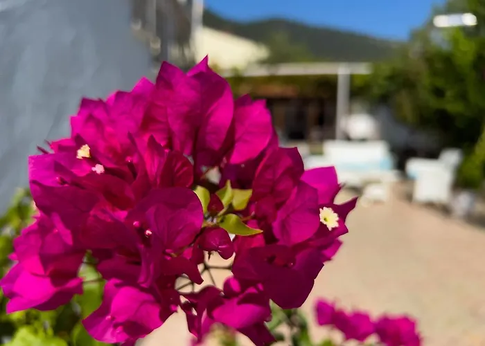 Aparthotel Romantika 3*